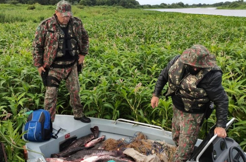 Para coibir pesca predatória PMA deflagra Operação Semana Santa