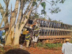 Motorista morre em colisão na BR-376 em Vicentina