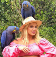 Ministério Público não quer animais como “chamariz” em Bonito