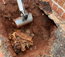 Ossada é identificada e polícia esclarece desaparecimento de mulher