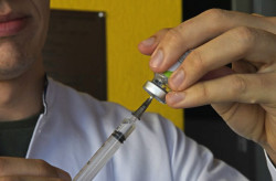 Ação para atualizar vacinas em crianças e adolescentes será amanhã