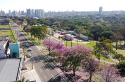 Após chuva e frente fria, a previsão para este sábado é de tempo estável