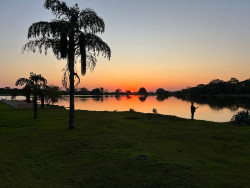 MS tem previsão de altas temperaturas e baixa umidade durante a semana