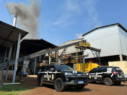 Defron incinera quase 13 toneladas de drogas em Dourados