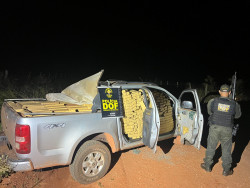 Carga milionária de maconha que seguia em veículo roubado é apreendida