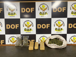DOF apreende drogas abandonadas às margens da MS-386 e MS-468