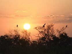 Domingo tem previsão de 43°C e calor não dá trégua em MS