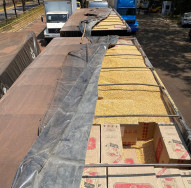 Ação conjunta apreende 400 mil maços de cigarro paraguaio na região sul