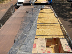 Ação conjunta apreende 400 mil maços de cigarro paraguaio na região sul