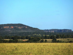 Quinta-feira tem previsão de tempo estável e temperaturas mais amenas em MS