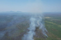 Bombeiros combatem três novos focos de incêndio no Pantanal em MS