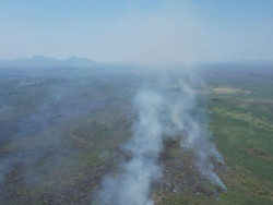 Bombeiros combatem três novos focos de incêndio no Pantanal em MS