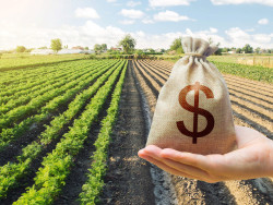 Perto do fim do prazo, Receita aguarda 8 mil declarações do ITR em MS