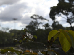 Previsão é de chuvas e aumento das temperaturas nesta sexta-feira