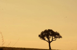 Ar quente e úmido gera possibilidade de chuvas em MS hoje