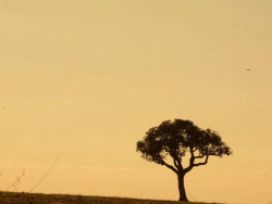 Ar quente e úmido gera possibilidade de chuvas em MS hoje