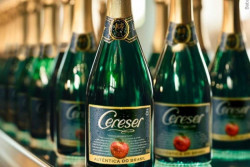 Anvisa manda suspender a venda de 28 lotes da Sidra Cereser