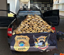 Defron apreende quase 200 quilos de maconha na MS-386