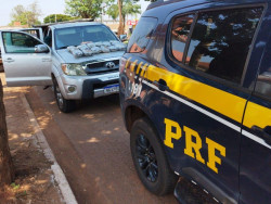 Policial penal aposentado é preso pela PRF levando droga para a Capital