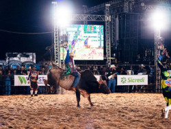 39ª Festa de Peão de Boiadeiro segue hoje no Parque de Exposições