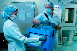 Mato Grosso do Sul fez 26 transplantes entre janeiro e setembro de 2023