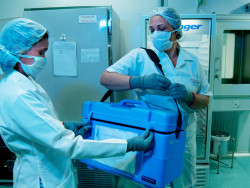 Mato Grosso do Sul fez 26 transplantes entre janeiro e setembro de 2023