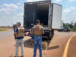 Caminhão de empresa de alimentos transportava meia tonelada de maconha