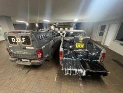 Polícia apreende quase 300 quilos de cabelo humano Dourados