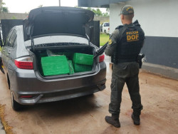 Homem é preso com veículo roubado carregado com 350 quilos de drogas