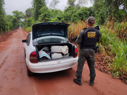 Polícia apreende 250 quilos de maconha em Iguatemi em veículo adulterado