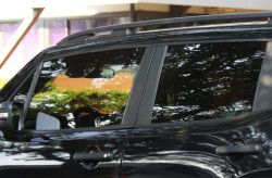 Novas regras do Insulfim estão valendo desde janeiro