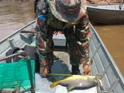 Defeso da Piracema começa em 5 de novembro nos rios de MS