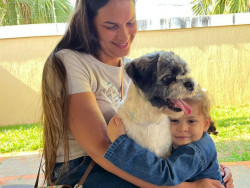 Inscrições para o Programa de Castração de Cães e Gatos reabrem hoje