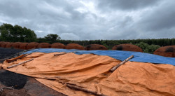 Juiz do Trabalho que atuou em MS é acusado de escravizar adolescente