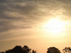 Previsão para esta quarta-feira é de sol e temperaturas podem atingir 40°C