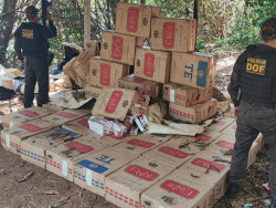 Polícia apreende mais de 2,3 mil pacotes de cigarros e prende foragido