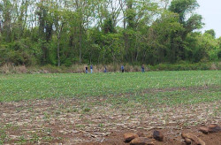 Polícia faz buscas por homem desaparecido há 2 semanas na Jaguapiru