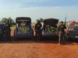 Polícia apreende drogas, veículos roubados e captura foragido em Amambai