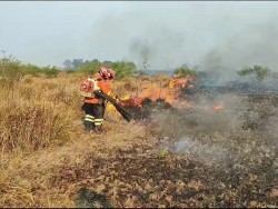 Bombeiros de MS atuam em três incêndios florestais no Pantanal