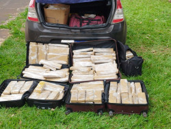 Motorista de aplicativo do RJ é preso com 242 kg de maconha na BR-463