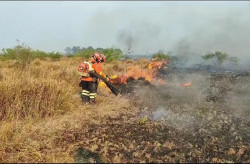 Há quatro dias, bombeiros combatem incêndios no Pantanal de MS