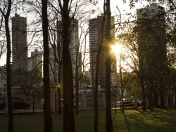 Avanço de frente fria ameniza temperaturas em MS nesta sexta-feira