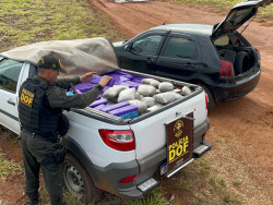 Veículo roubado na Capital é recuperado com mais de 850 quilos de drogas