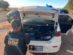 Estudante de medicina é preso com 584 quilos de maconha em carro