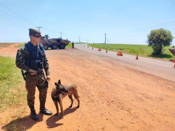 Ações na fronteira entram em vigor e exército faz 49 missões