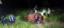 Motorista morre ao colidir veículo em coqueiro em Itaporã