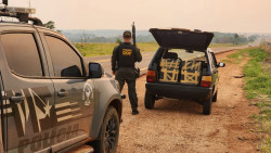 Veículo que seguia com maconha para Goiânia é apreendido pelo DOF em Itahum