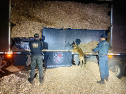 DOF apreende cinco toneladas de maconha em carga de cavaco de madeira