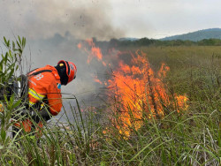 Bombeiros fazem força-tarefa para controlar incêndios no Pantanal