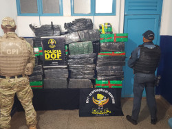 DOF apreende 1,1 tonelada de maconha em casa abandonada em Ponta Porã